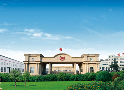 威海萬豐鎂業科技發展有限公司